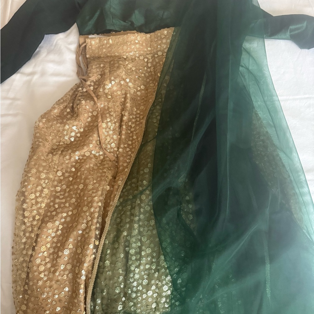 The Saree Room Lehenga with dupatta -  Green and Gold Lehenga